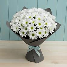 Букет цветов из:  Хризантемы в Нюрбе